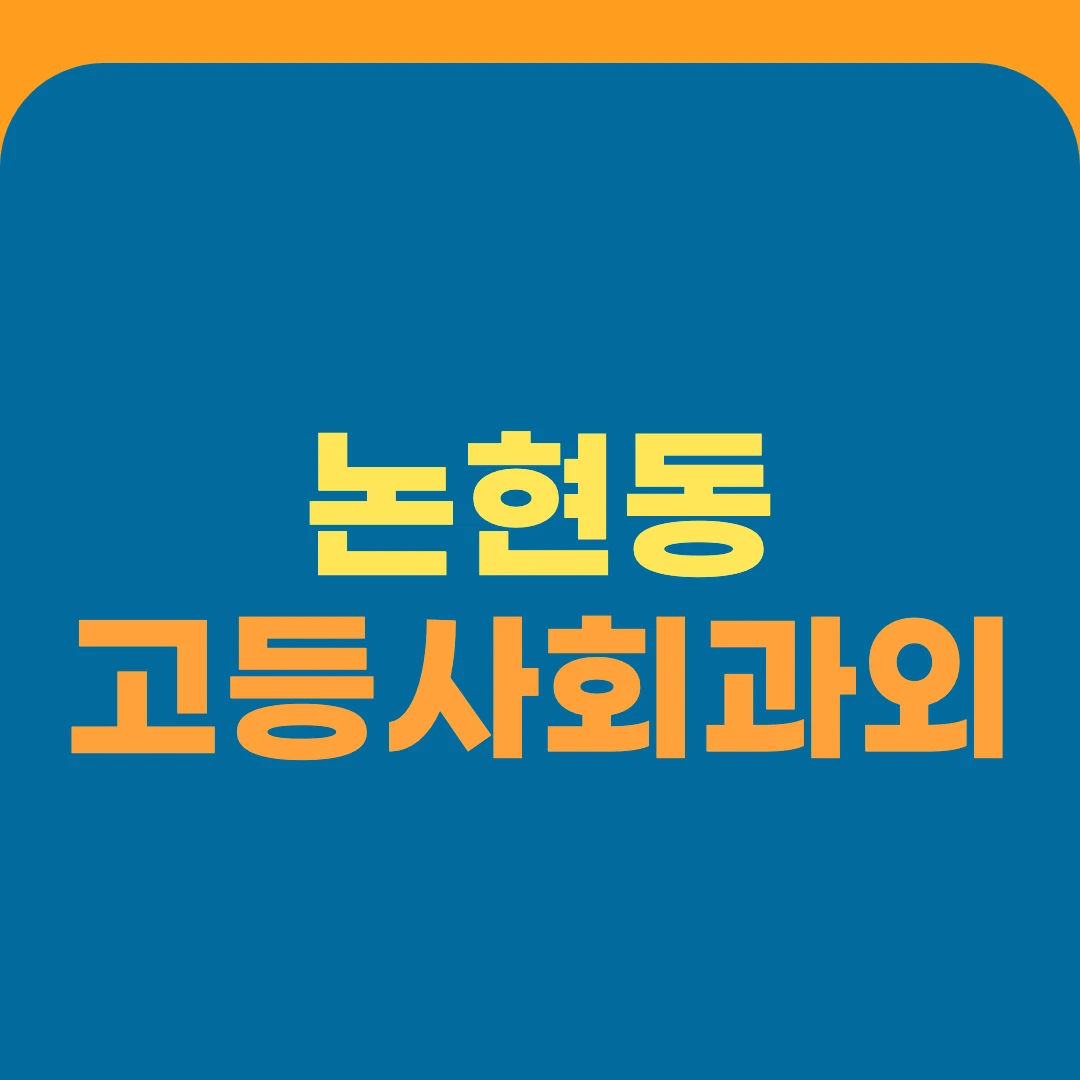 논현동 고등사회과외