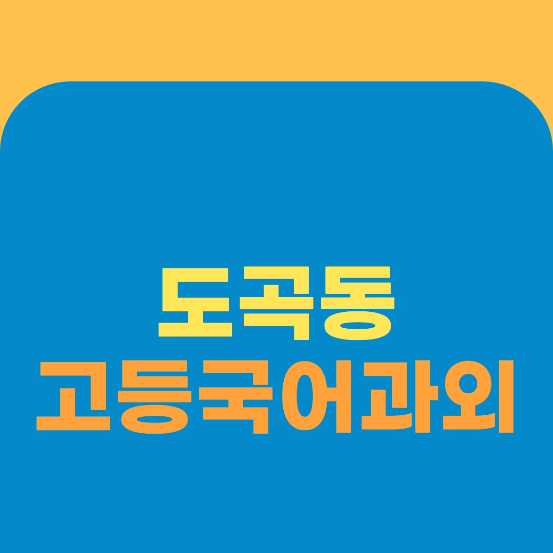 도곡동 고등국어과외