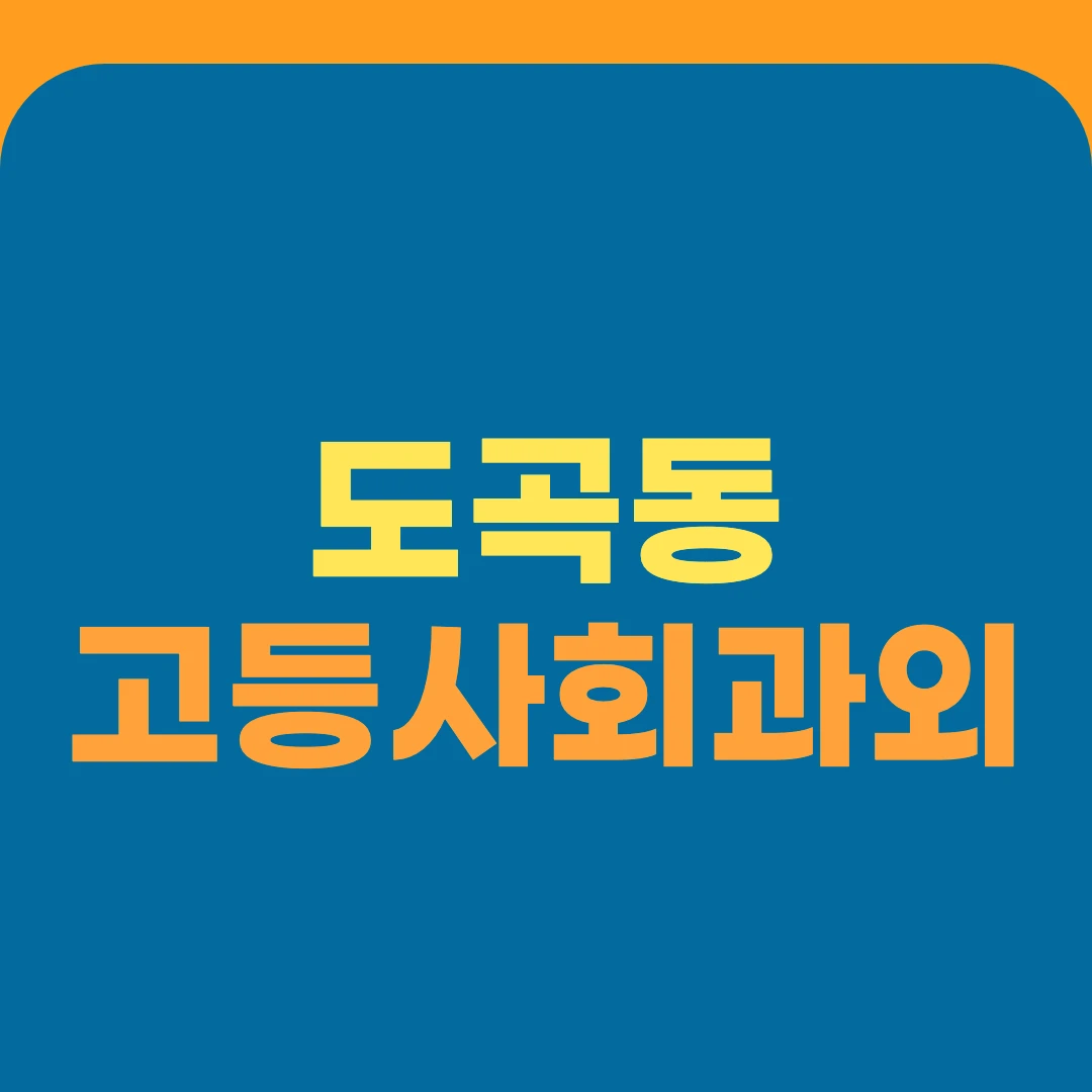 도곡동 고등사회과외