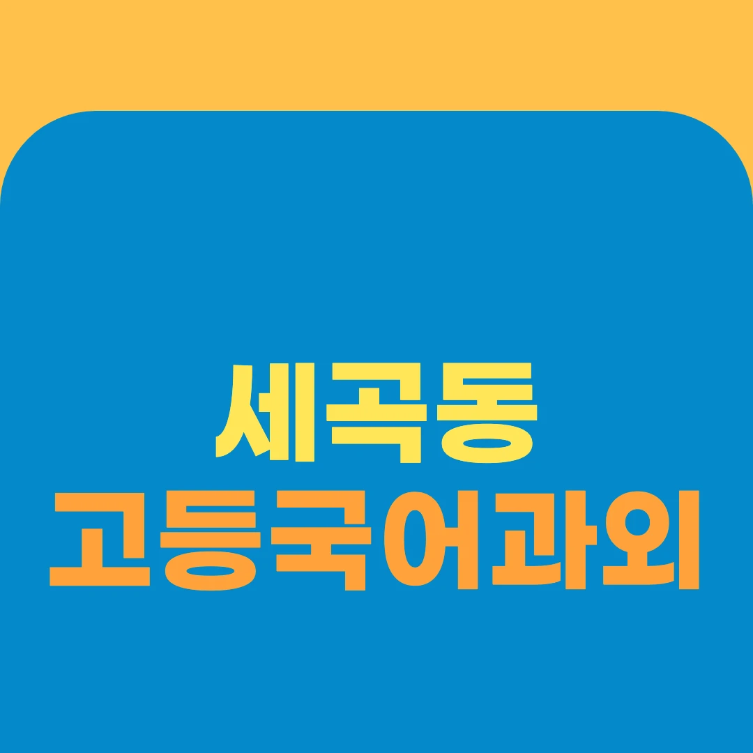 세곡동 고등국어과외