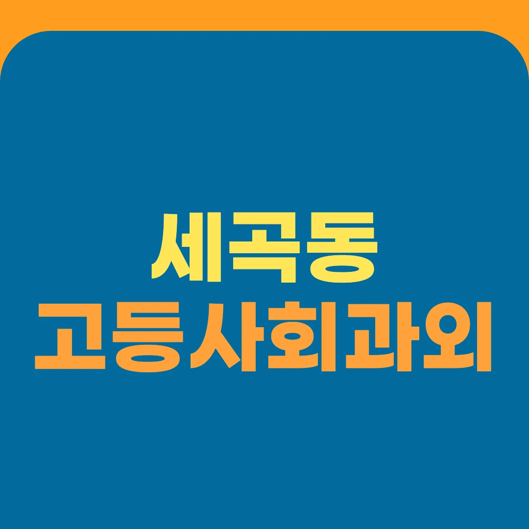 세곡동 고등사회과외