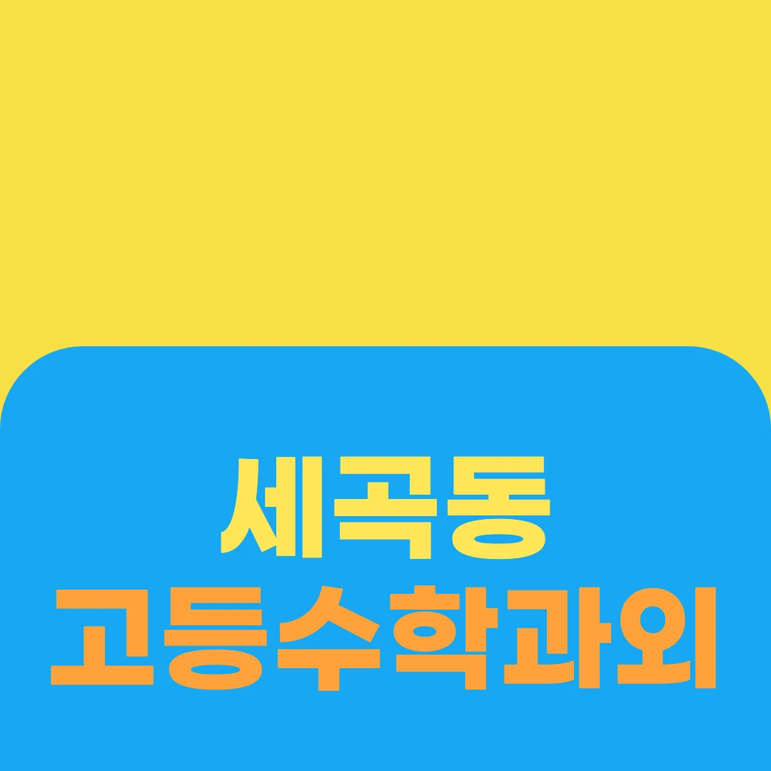 세곡동 고등수학과외