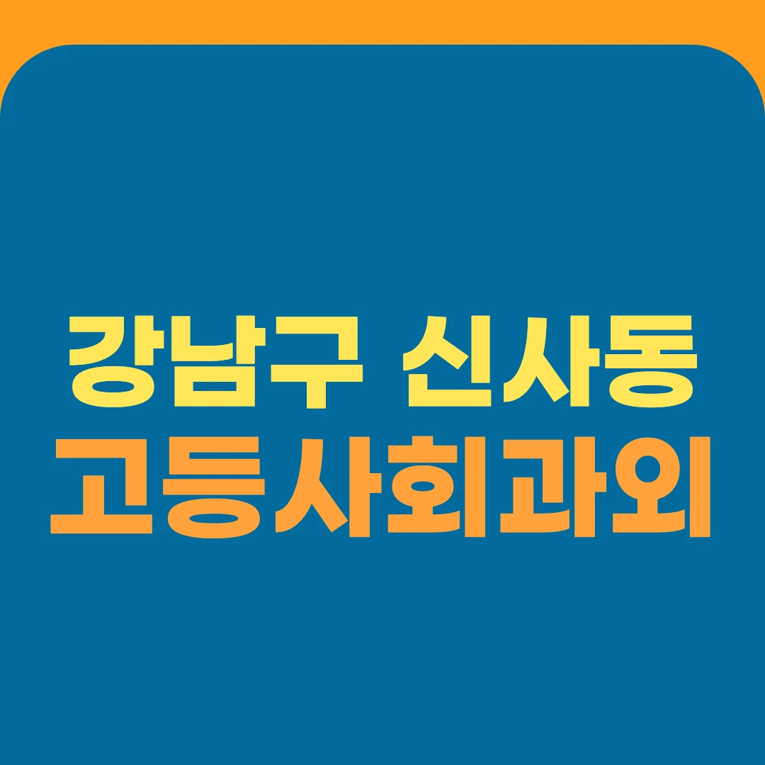 강남구 신사동 고등사회과외