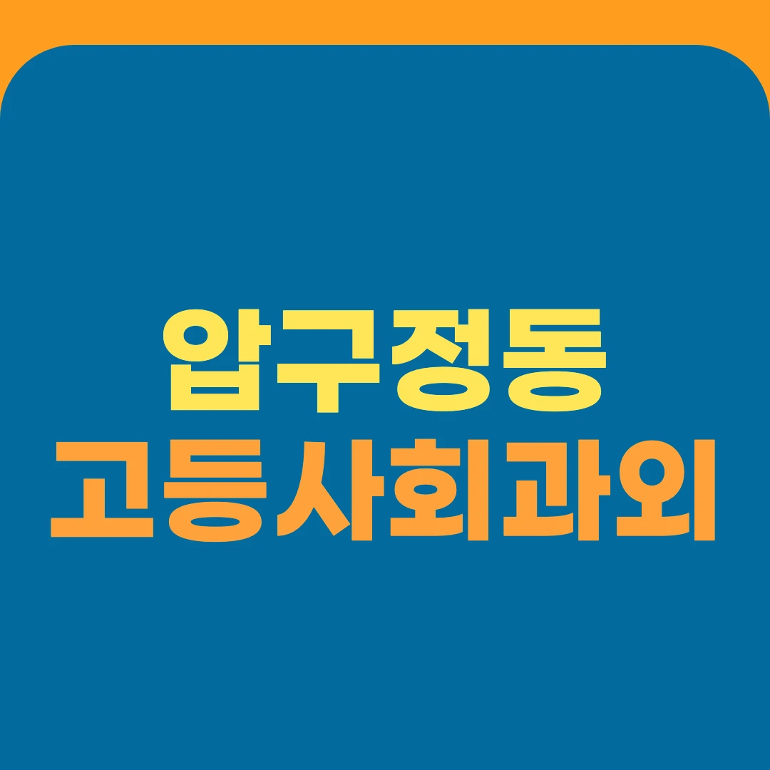 압구정동 고등사회과외