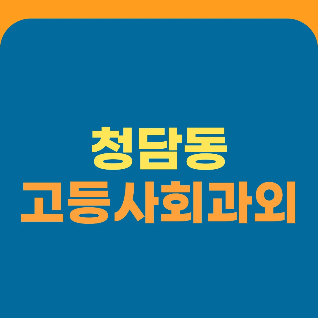 청담동 고등사회과외