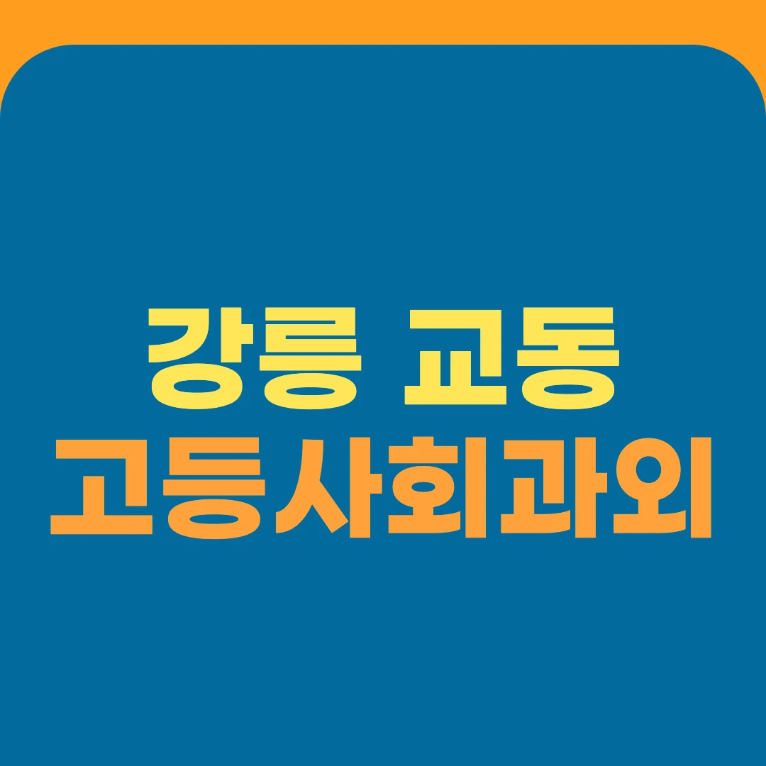 강릉 교동 고등사회과외