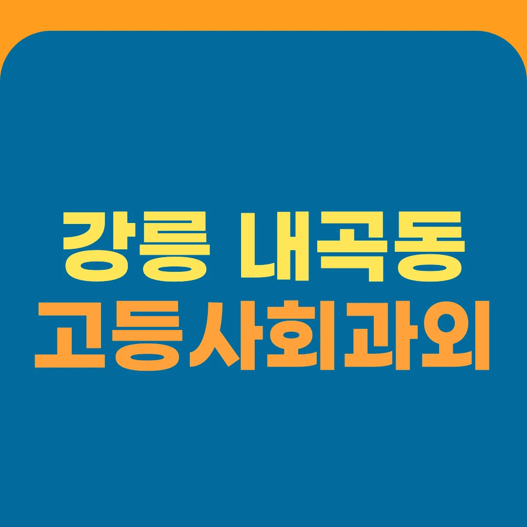 강릉 내곡동 고등사회과외