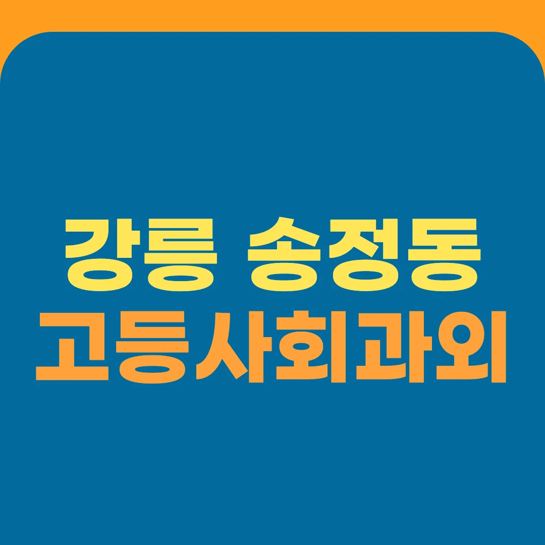 강릉 송정동 고등사회과외