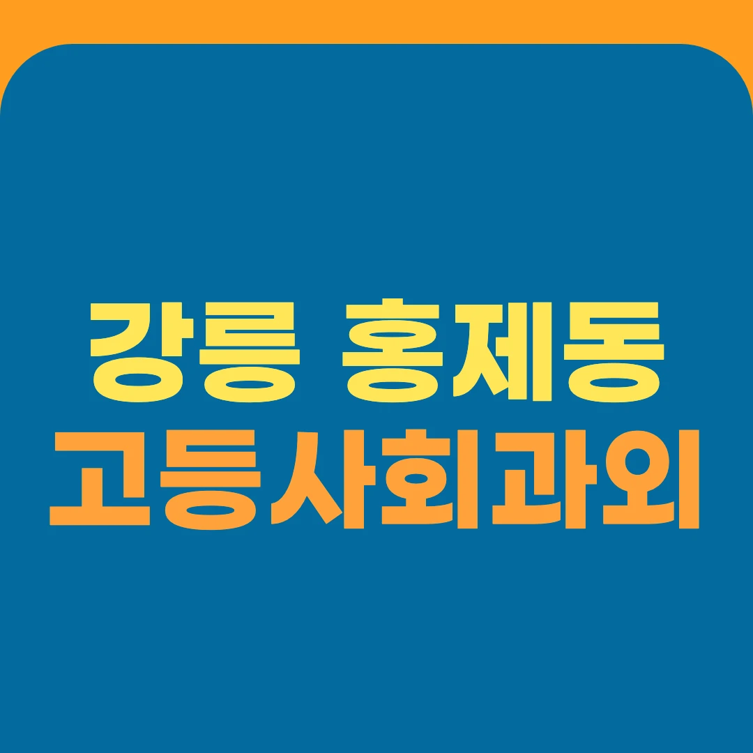강릉 홍제동 고등사회과외