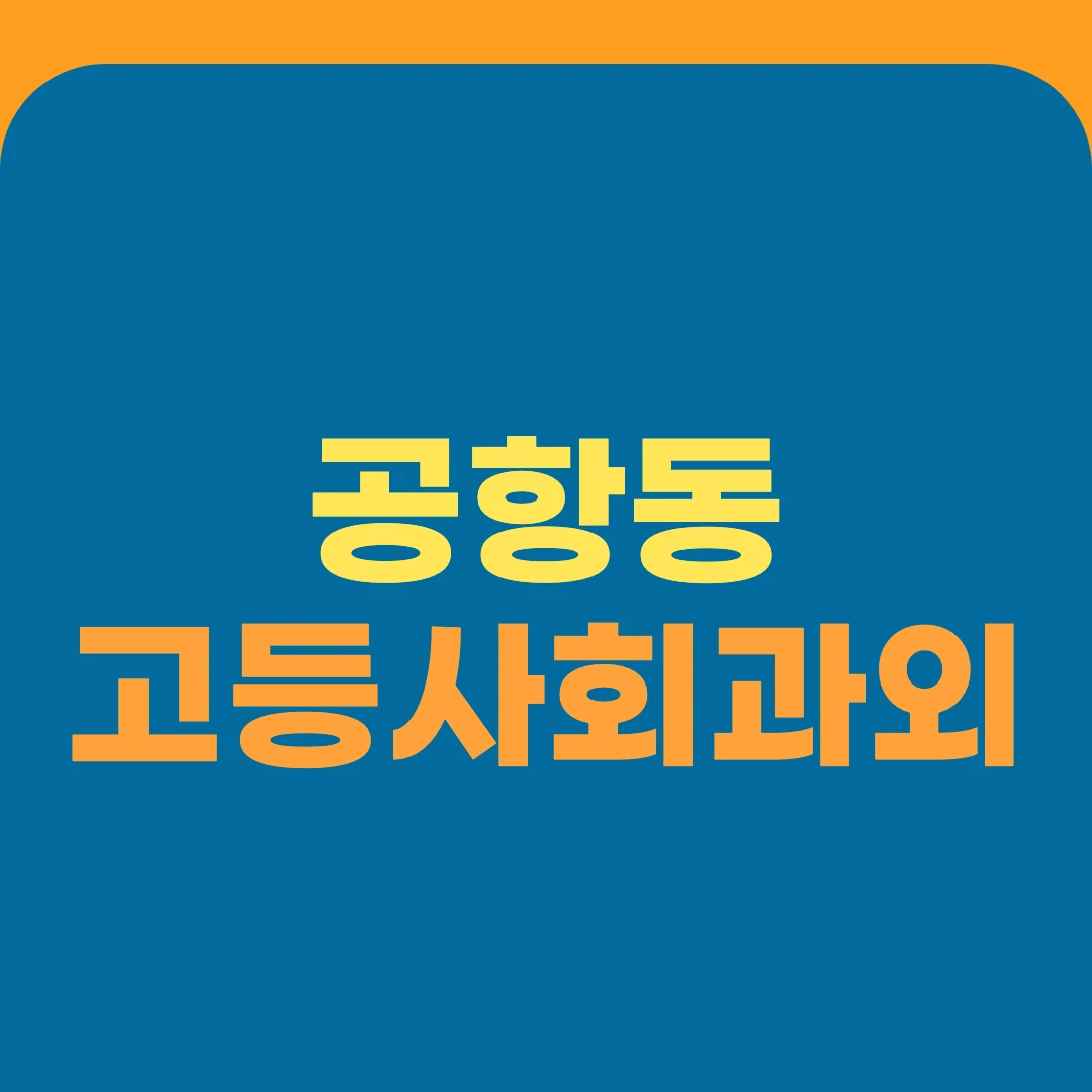 공항동 고등사회과외