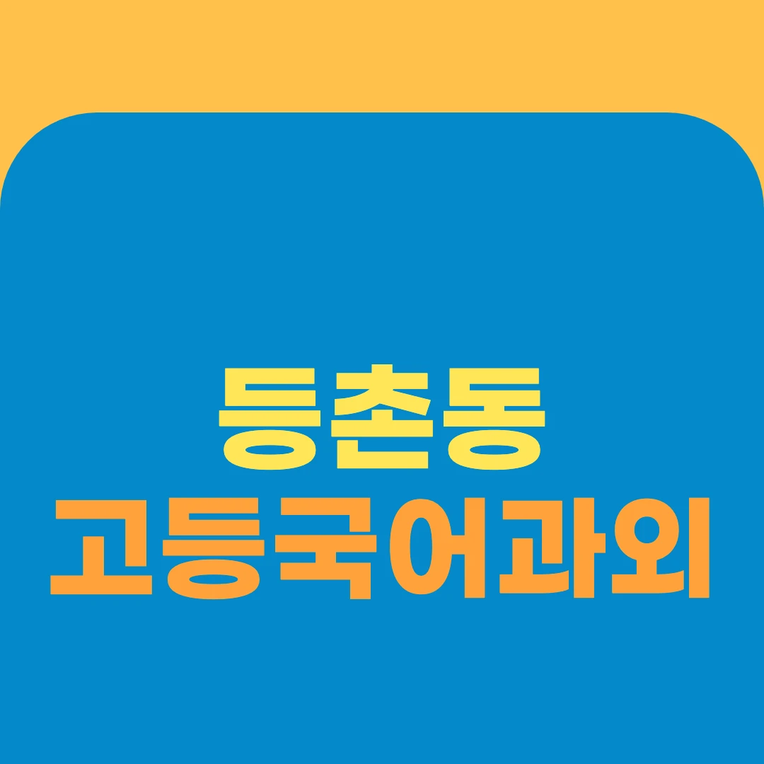 등촌동 고등국어과외