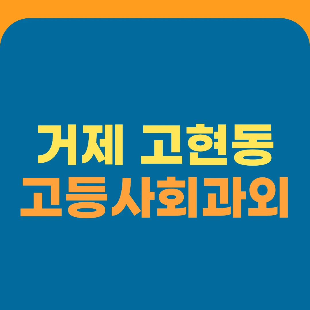 거제 고현동 고등사회과외