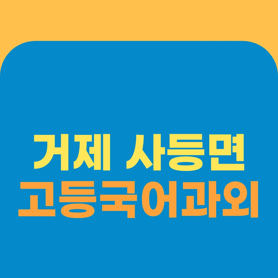 거제 사등면 고등국어과외