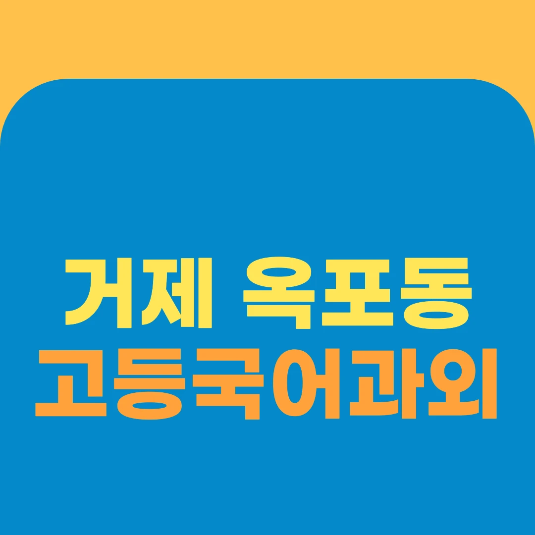 거제 옥포동 고등국어과외