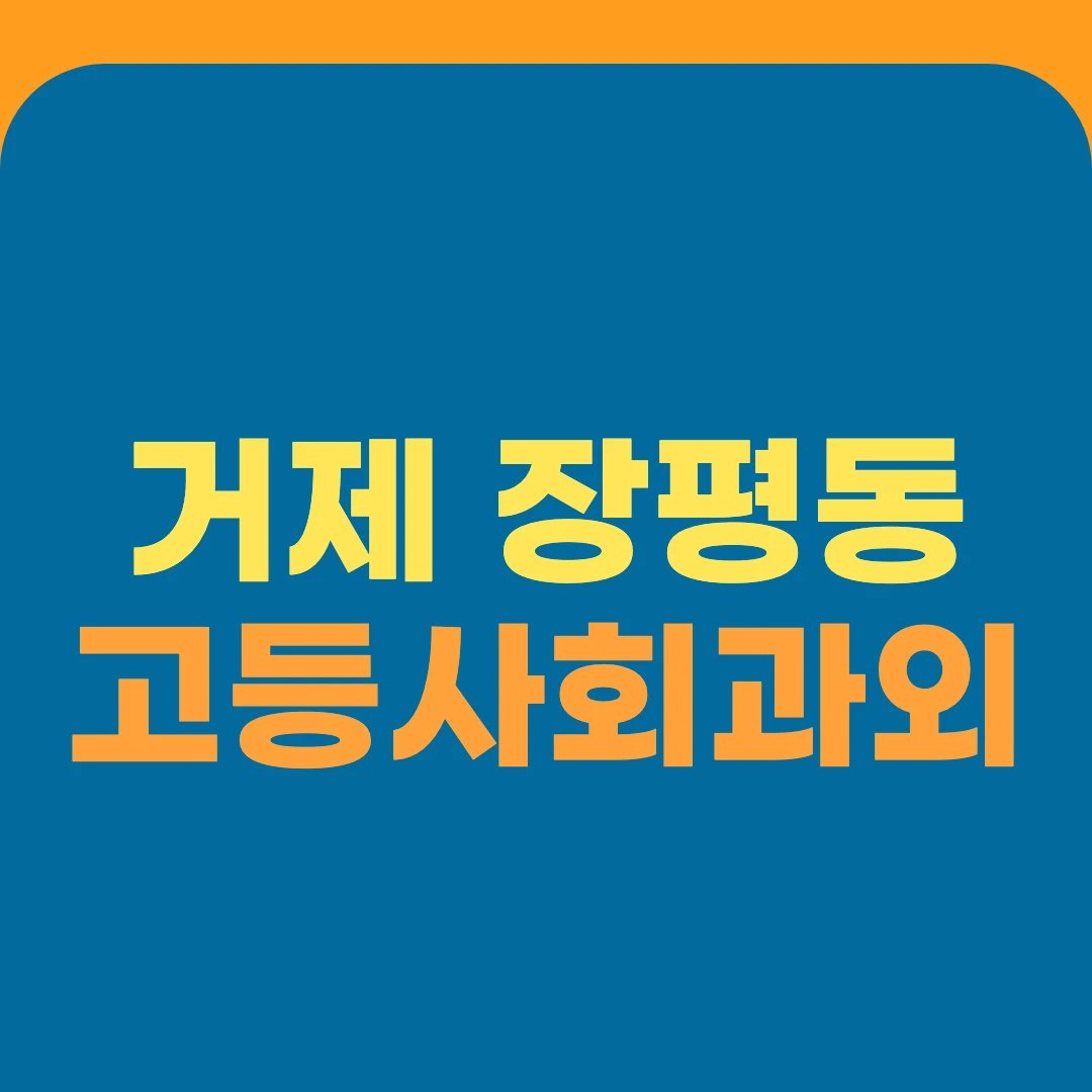거제 장평동 고등사회과외