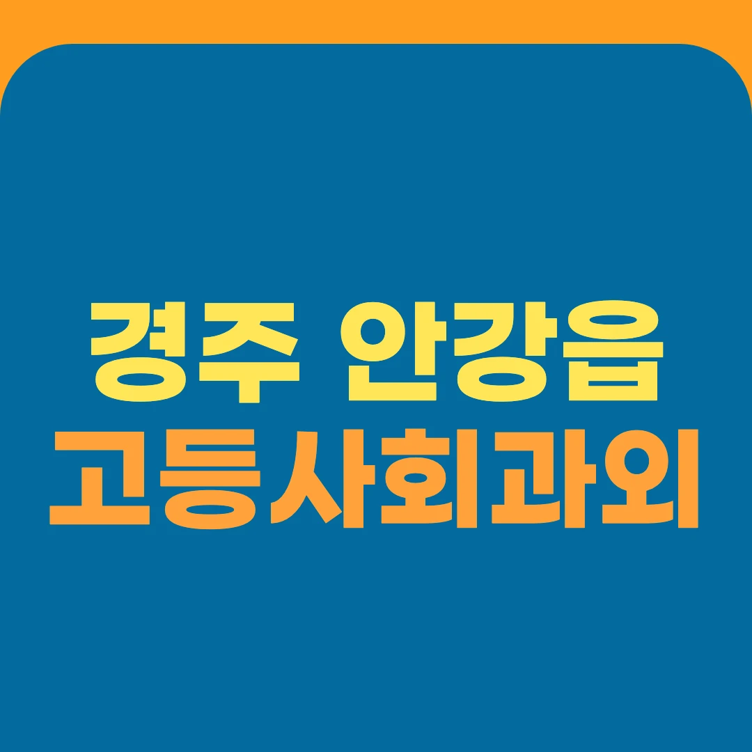 경주 안강읍 고등사회과외