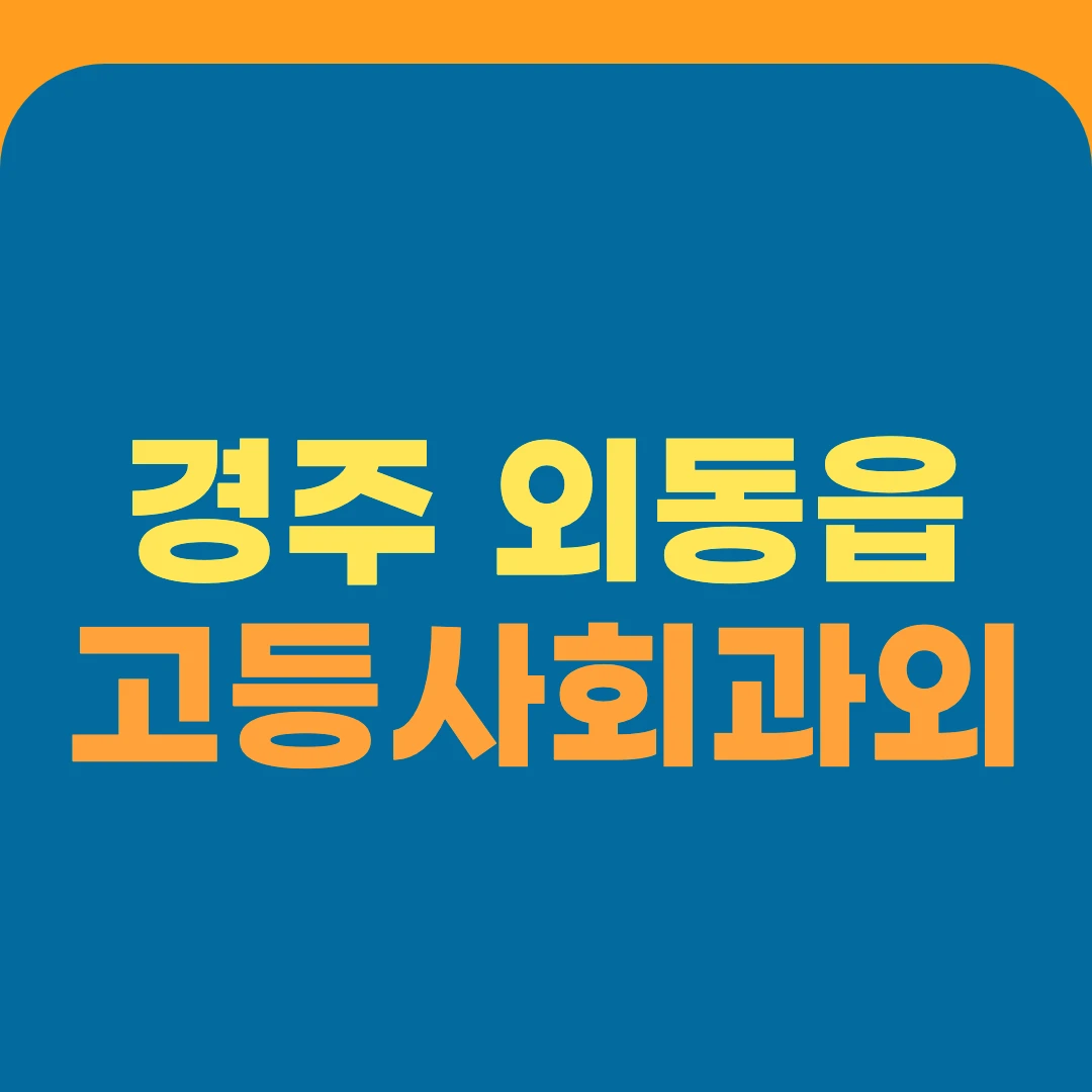 경주 외동읍 고등사회과외