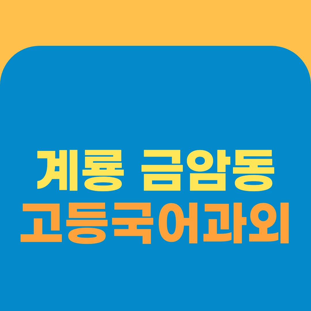 계룡 금암동 고등국어과외