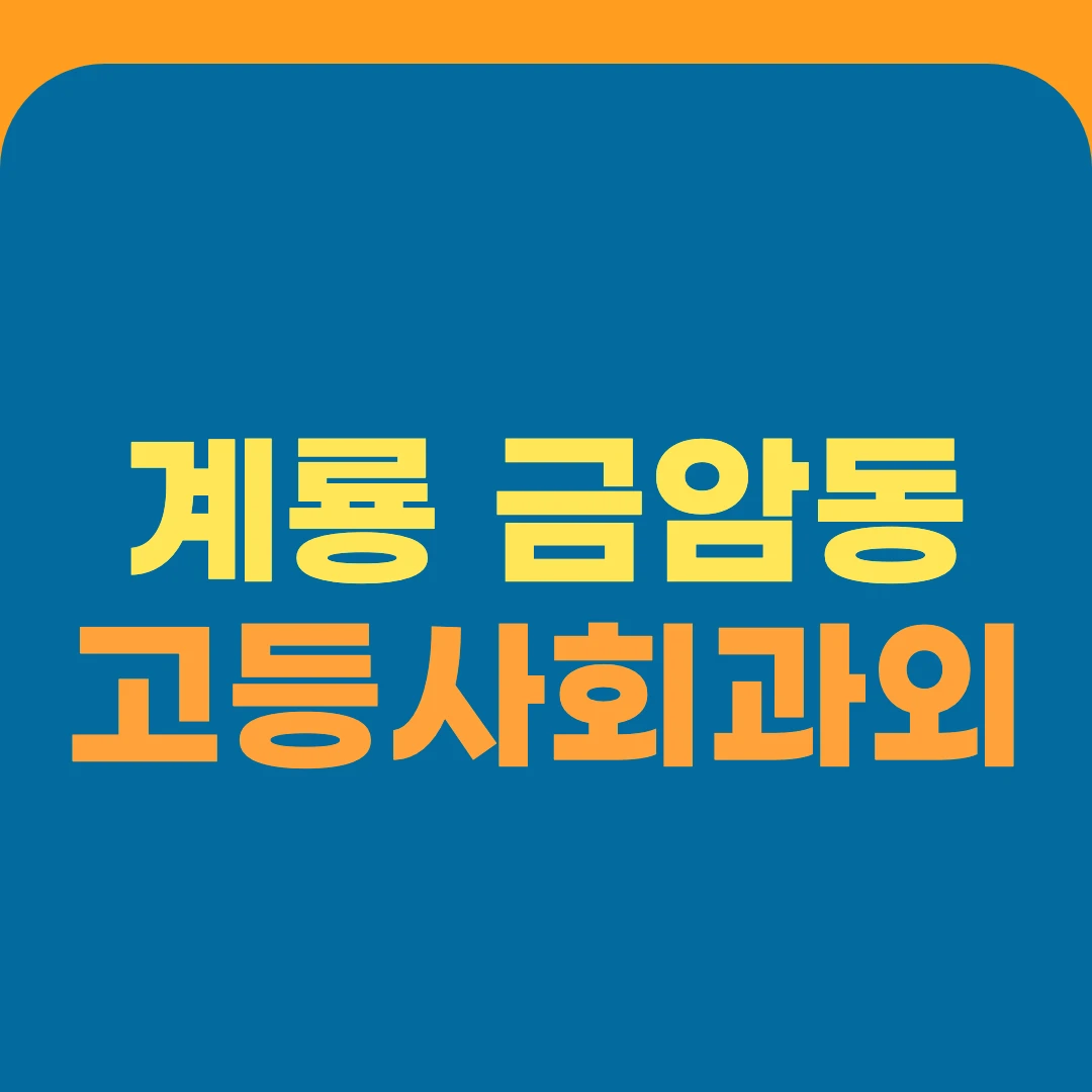 계룡 금암동 고등사회과외