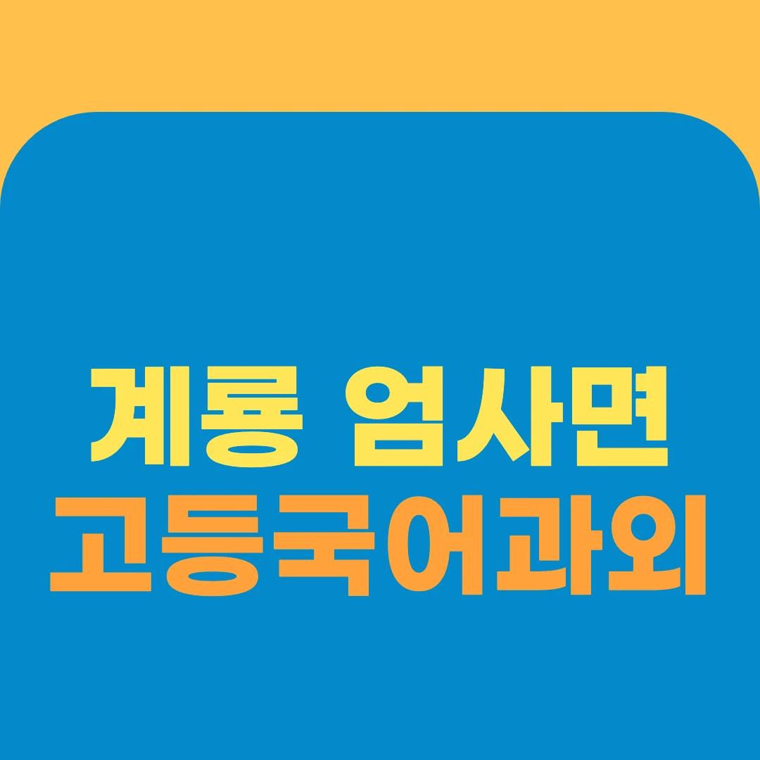 계룡 엄사면 고등국어과외