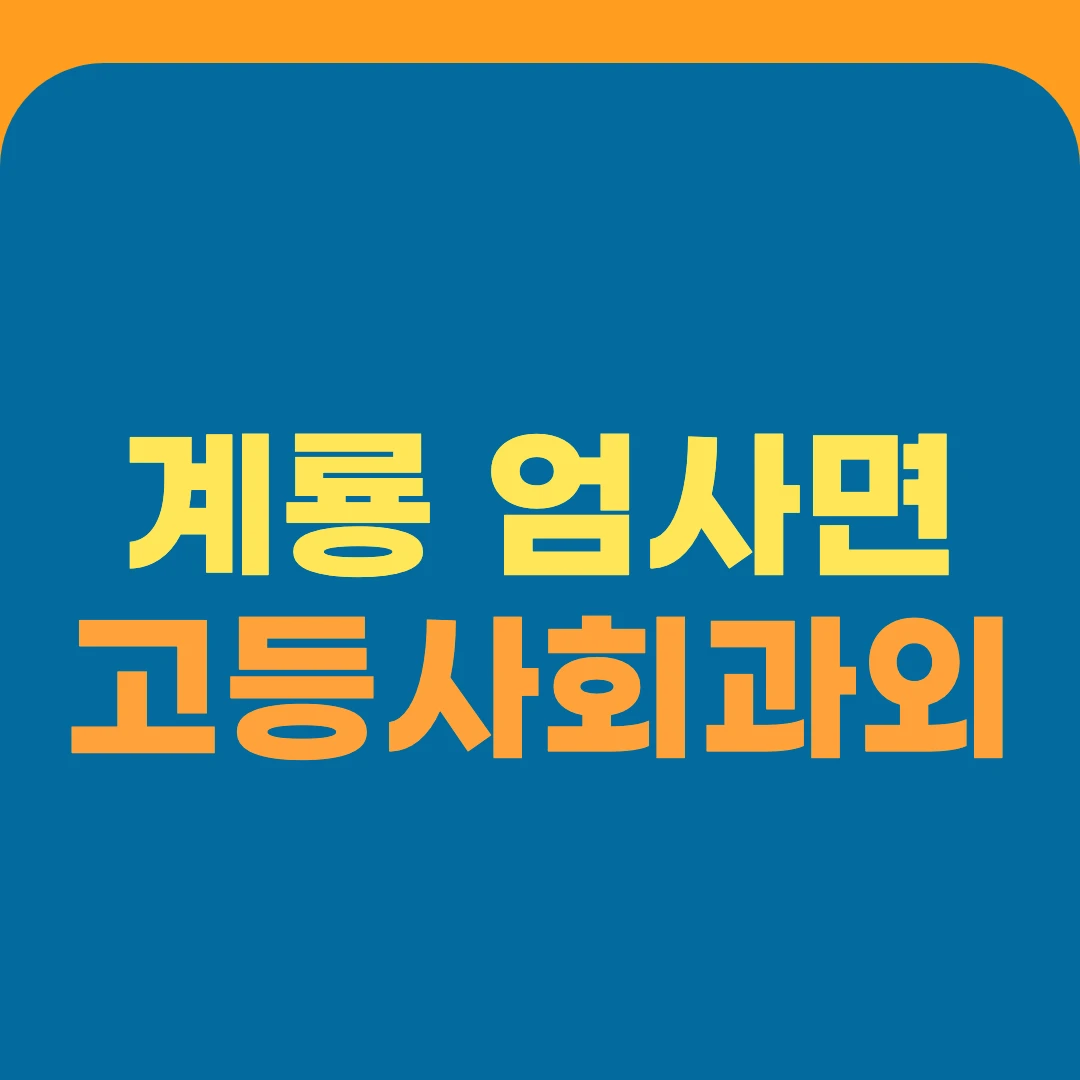 계룡 엄사면 고등사회과외