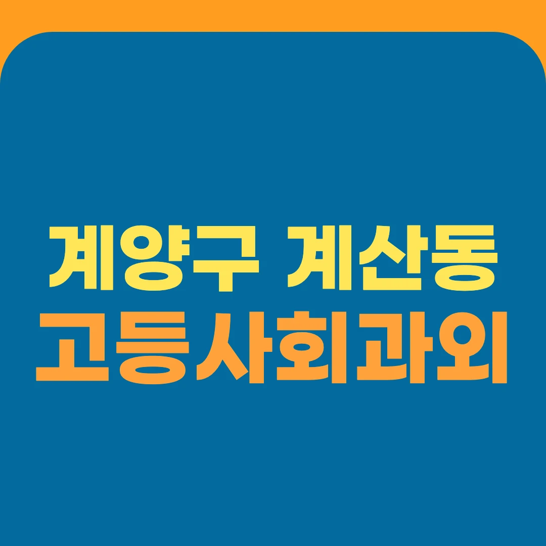 계양구 계산동 고등사회과외