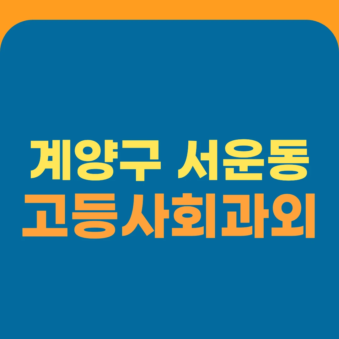 계양구 서운동 고등사회과외