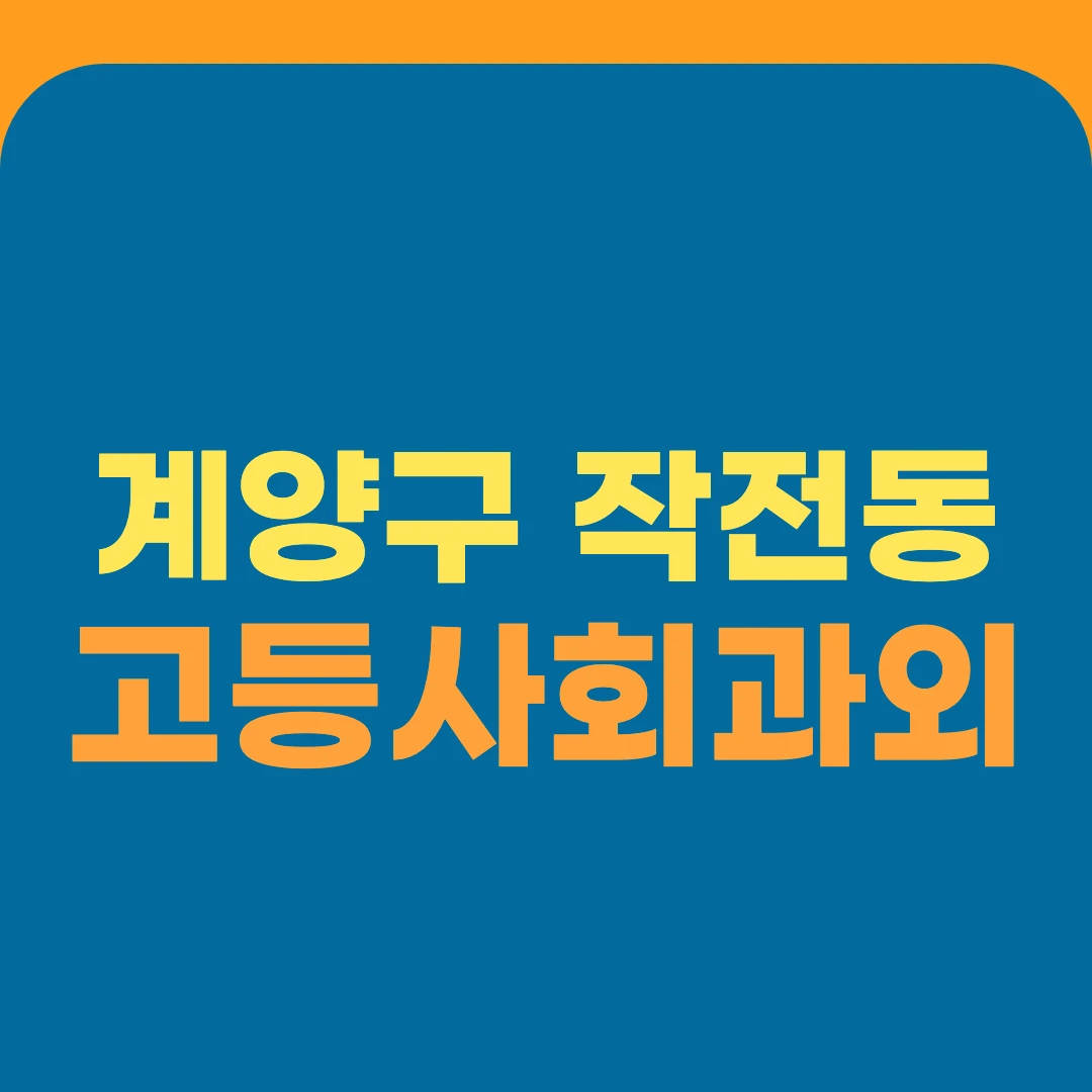 계양구 작전동 고등사회과외