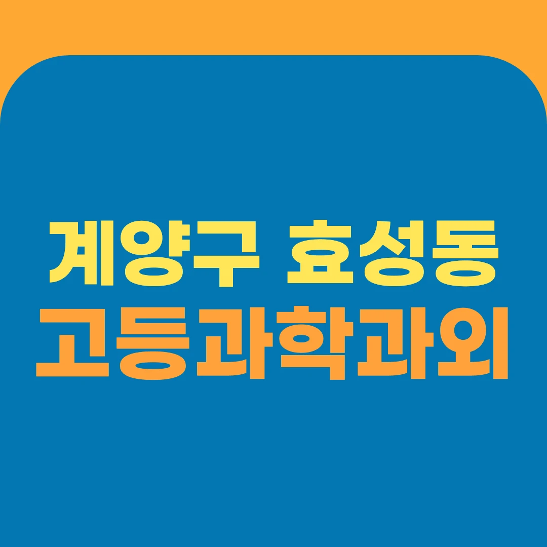 계양구 효성동 고등과학과외