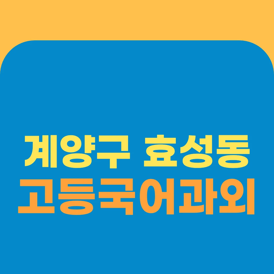 계양구 효성동 고등국어과외