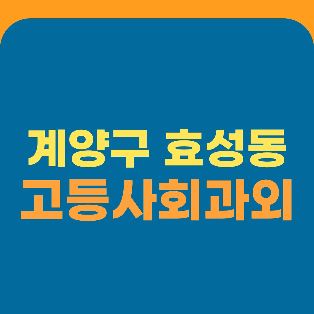 계양구 효성동 고등사회과외