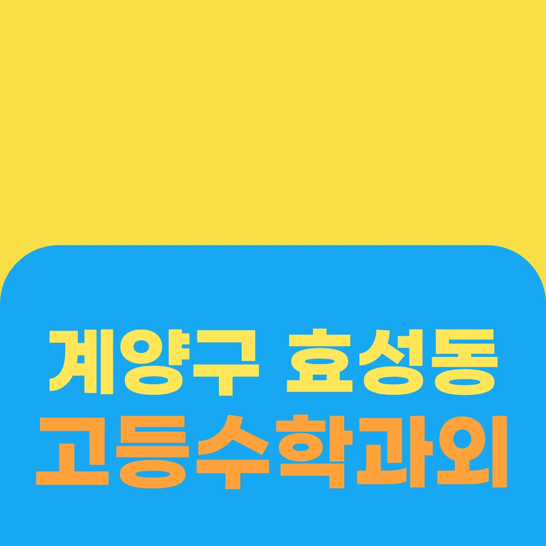 계양구 효성동 고등수학과외