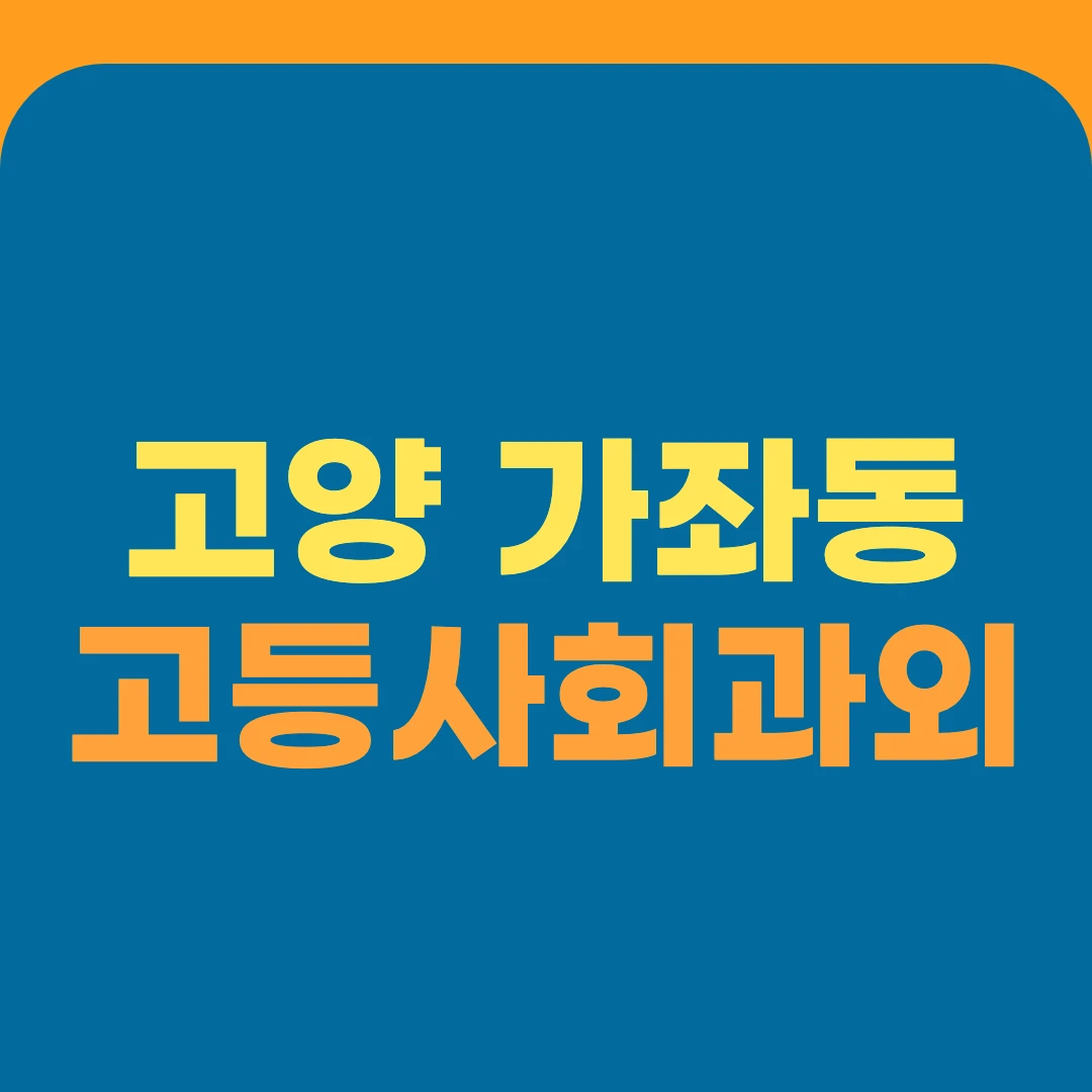 고양 가좌동 고등사회과외