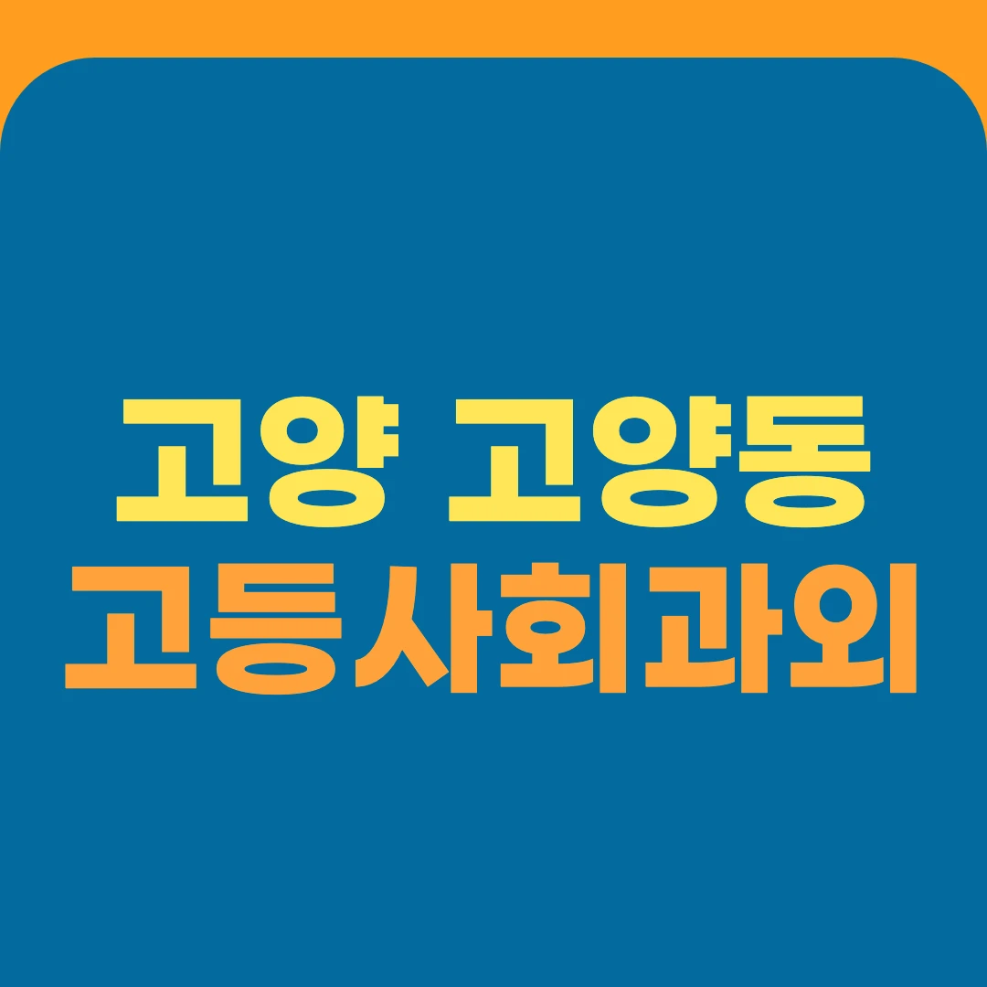 고양 고양동 고등사회과외