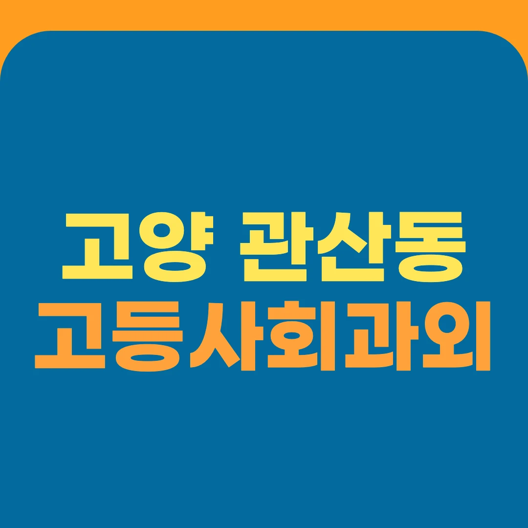 고양 관산동 고등사회과외