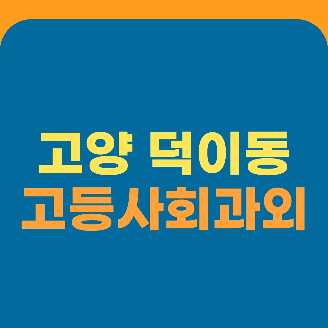 고양 덕이동 고등사회과외