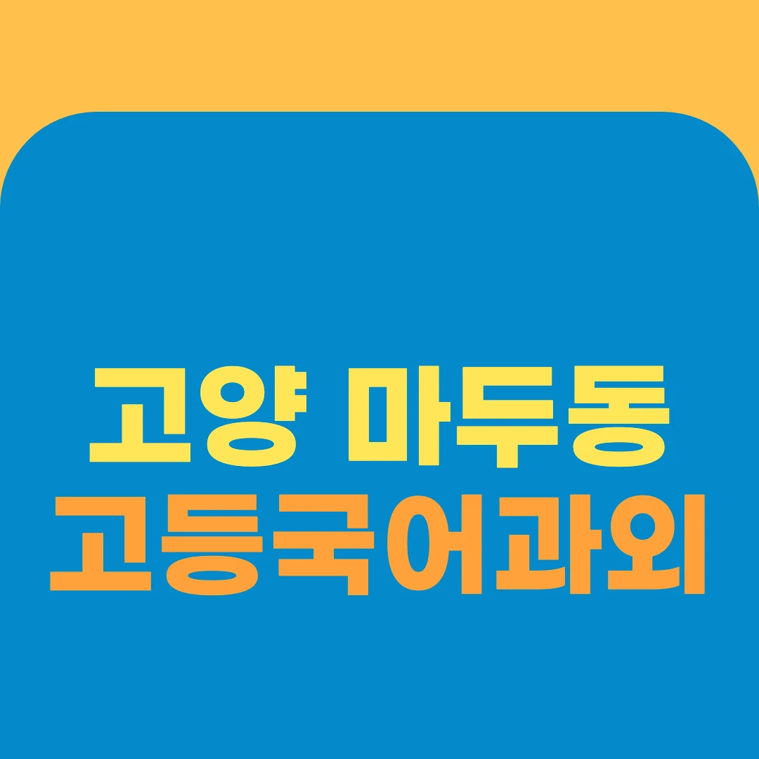 고양 마두동 고등국어과외