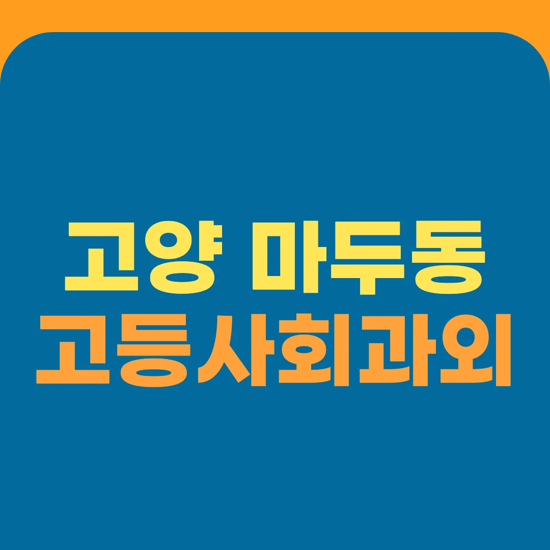 고양 마두동 고등사회과외