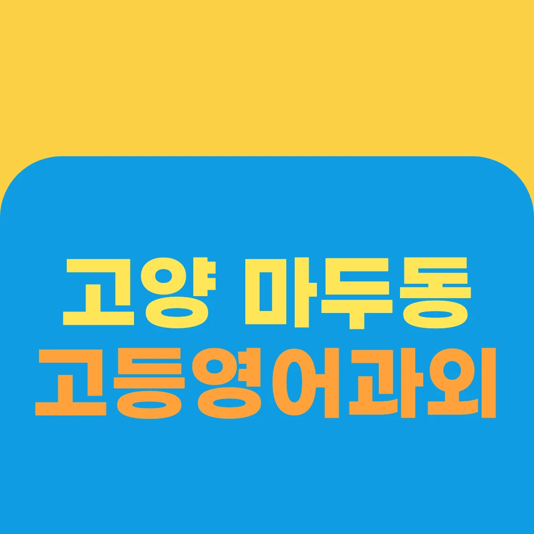 고양 마두동 고등영어과외