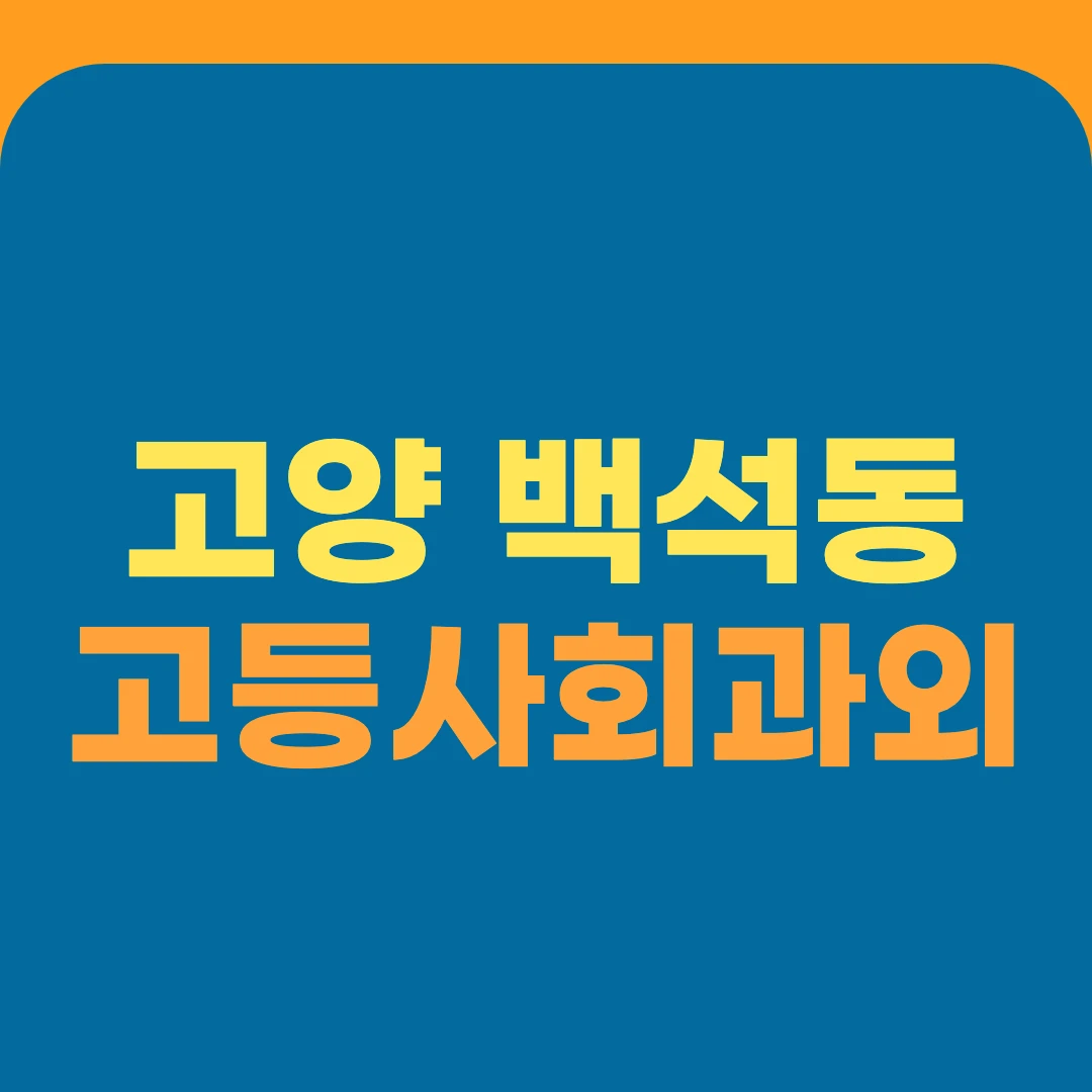 고양 백석동 고등사회과외