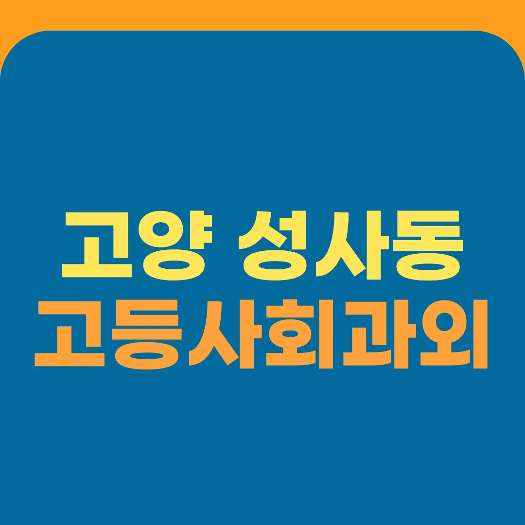 고양 성사동 고등사회과외