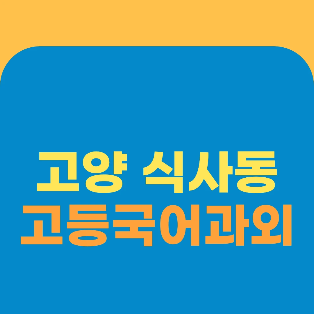 고양 식사동 고등국어과외