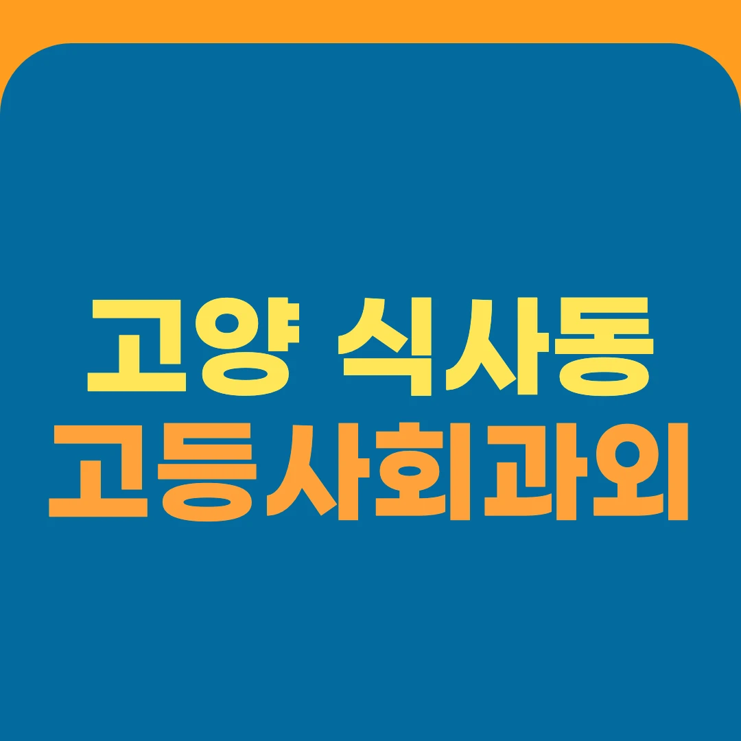 고양 식사동 고등사회과외