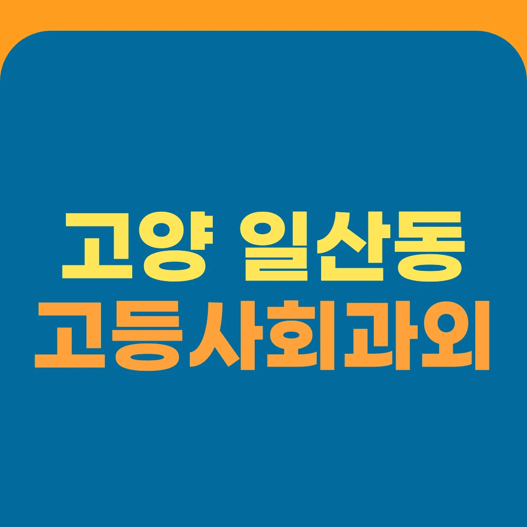 고양 일산동 고등사회과외
