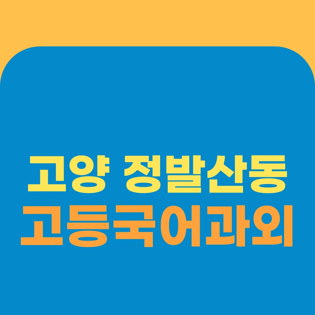 고양 정발산동 고등국어과외