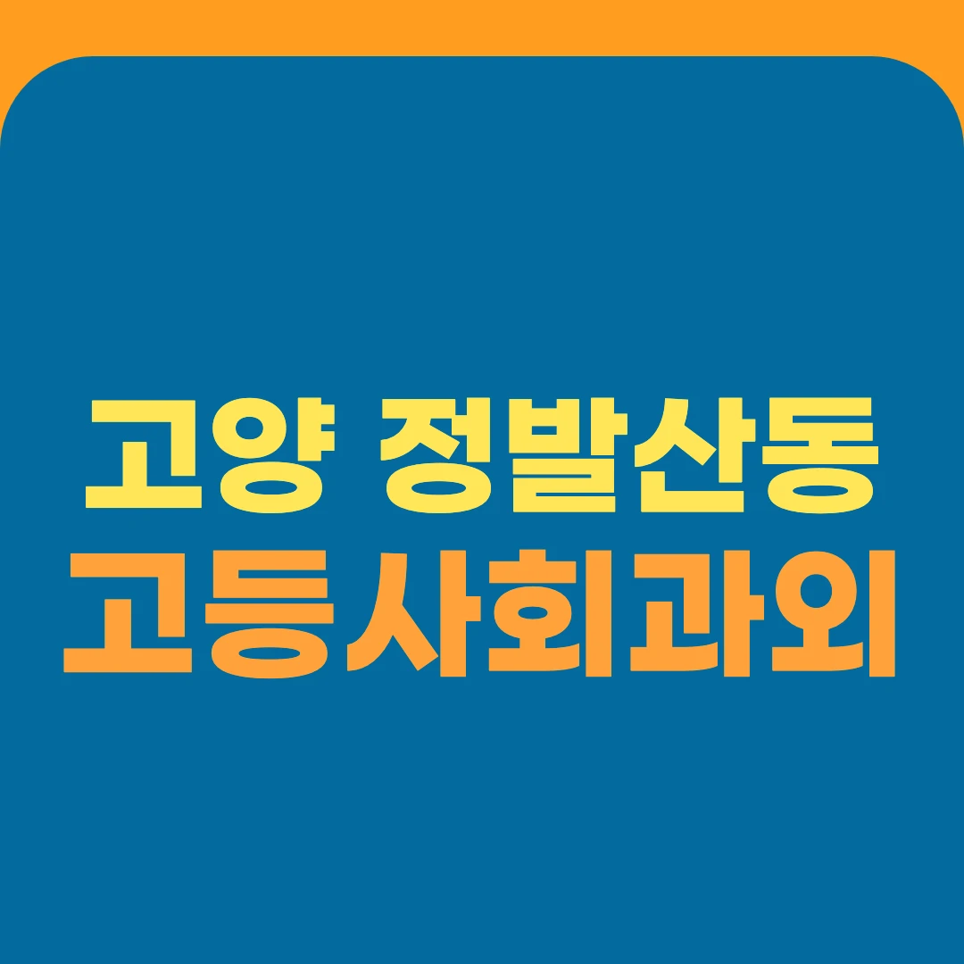 고양 정발산동 고등사회과외