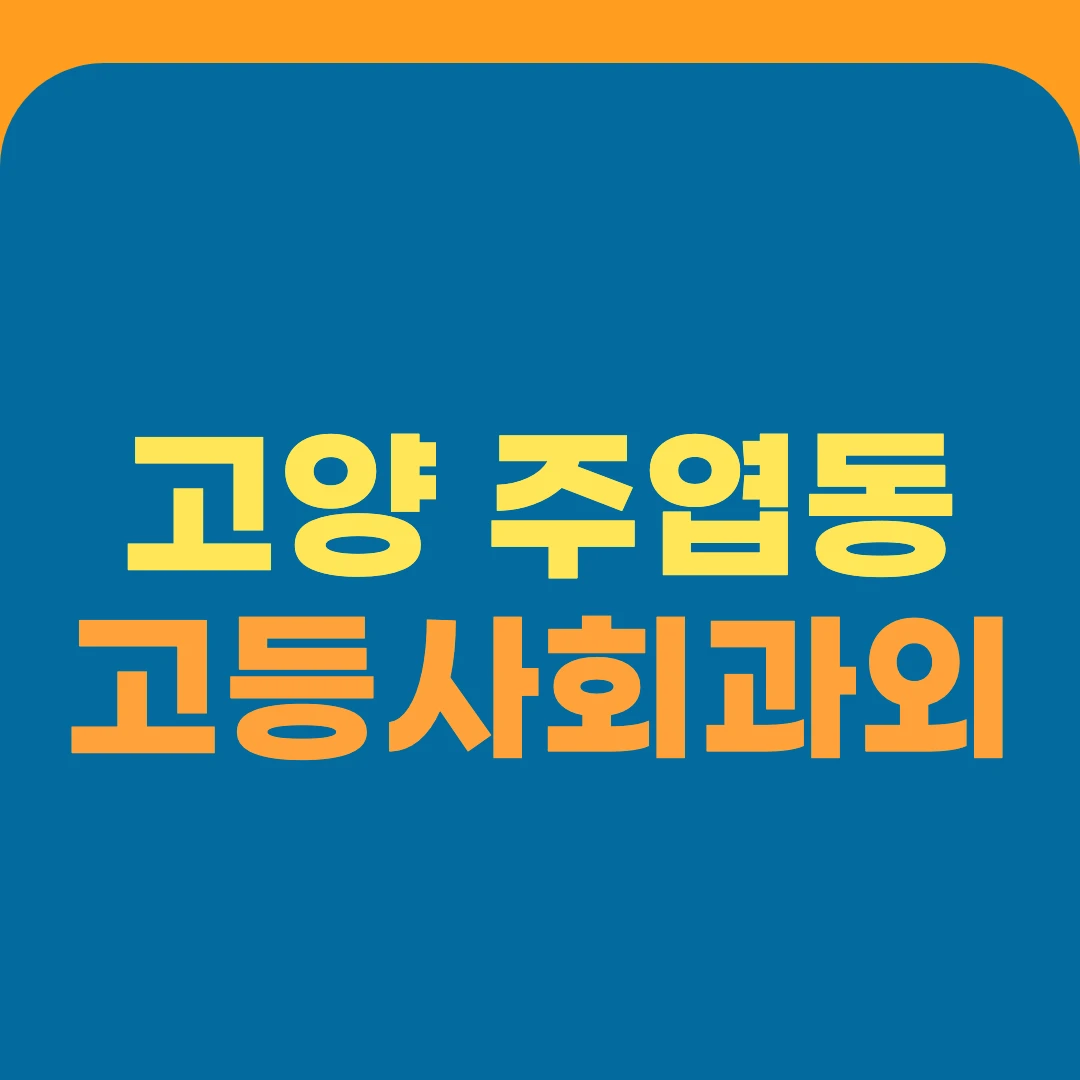 고양 주엽동 고등사회과외