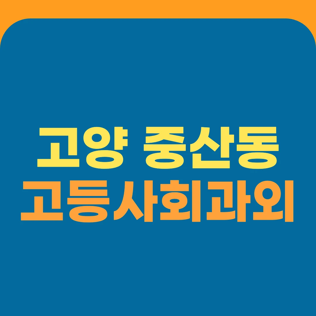 고양 중산동 고등사회과외