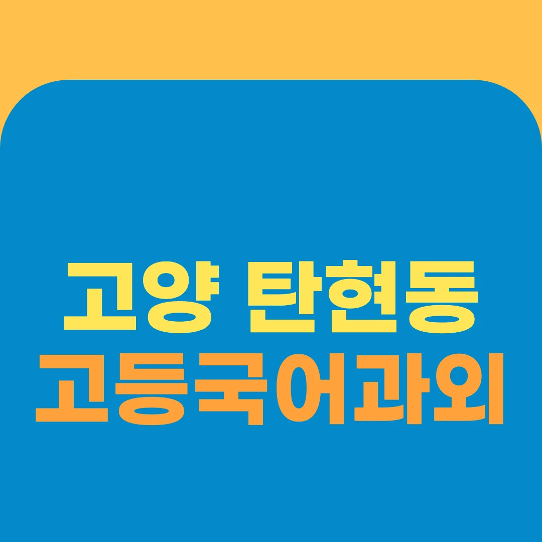 고양 탄현동 고등국어과외