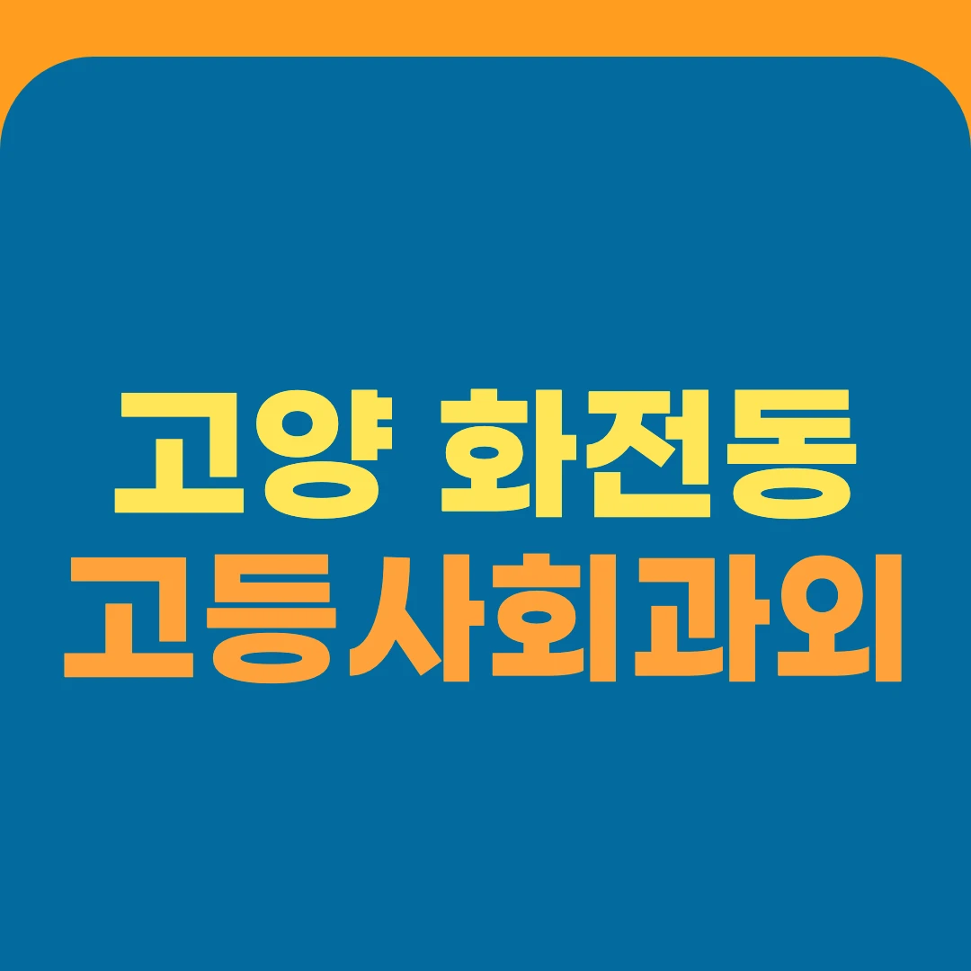 고양 화전동 고등사회과외
